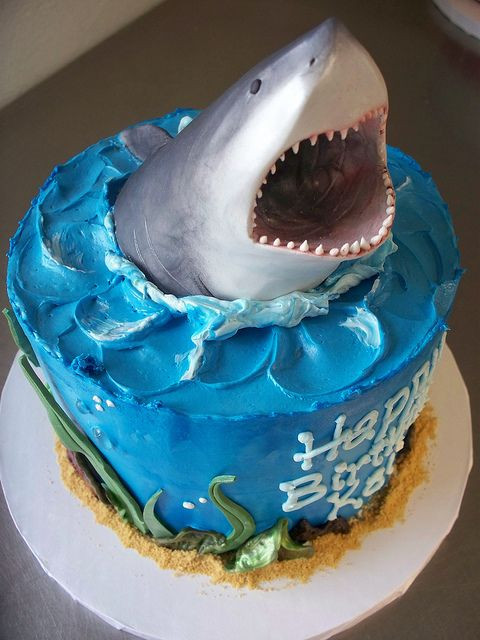 Shark Birthday Cakes
 9 best Shark Cake images on Pinterest
