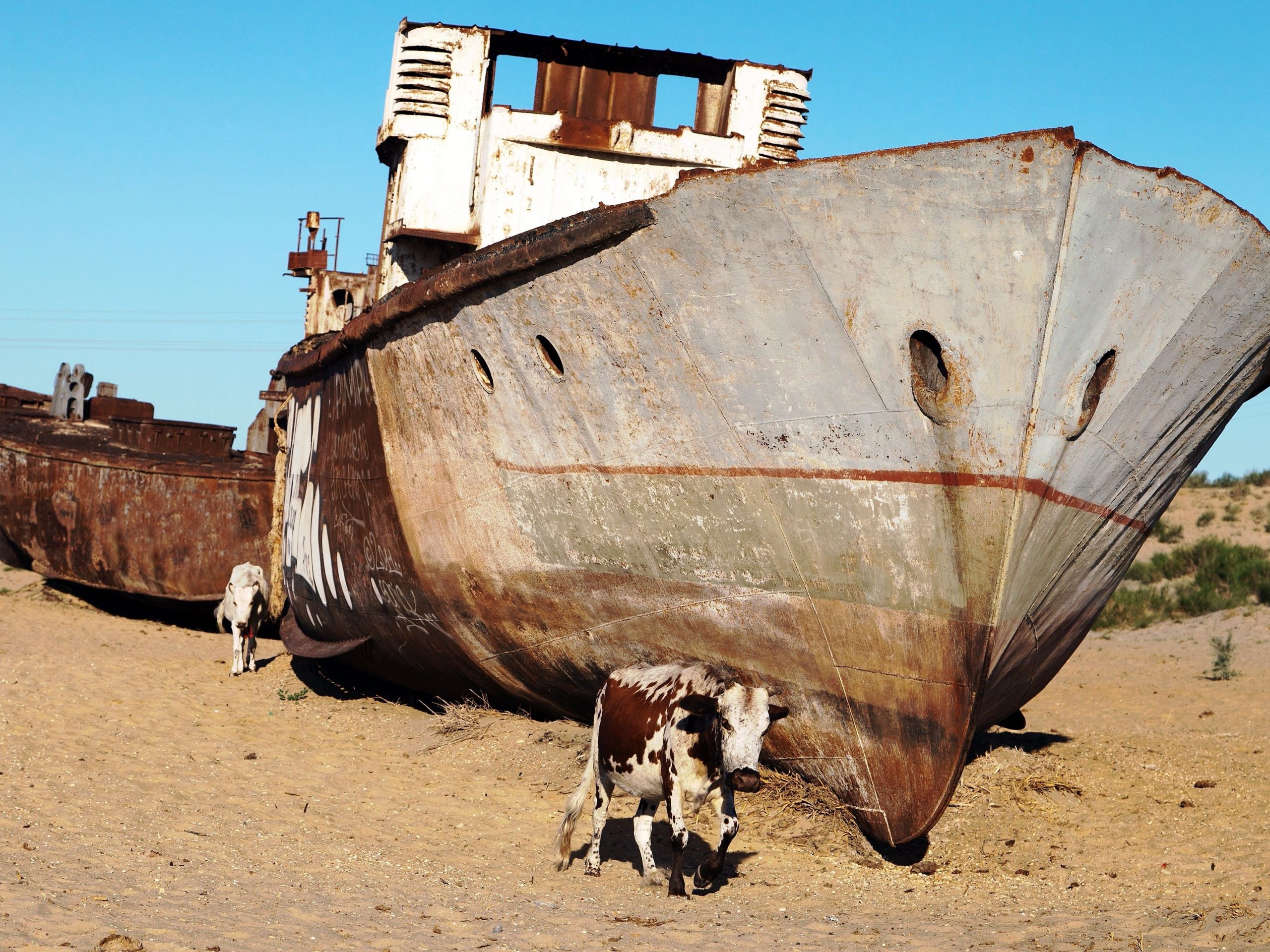 Ships Of The Dessert
 9 incredible photos of an eerie ship graveyard in the