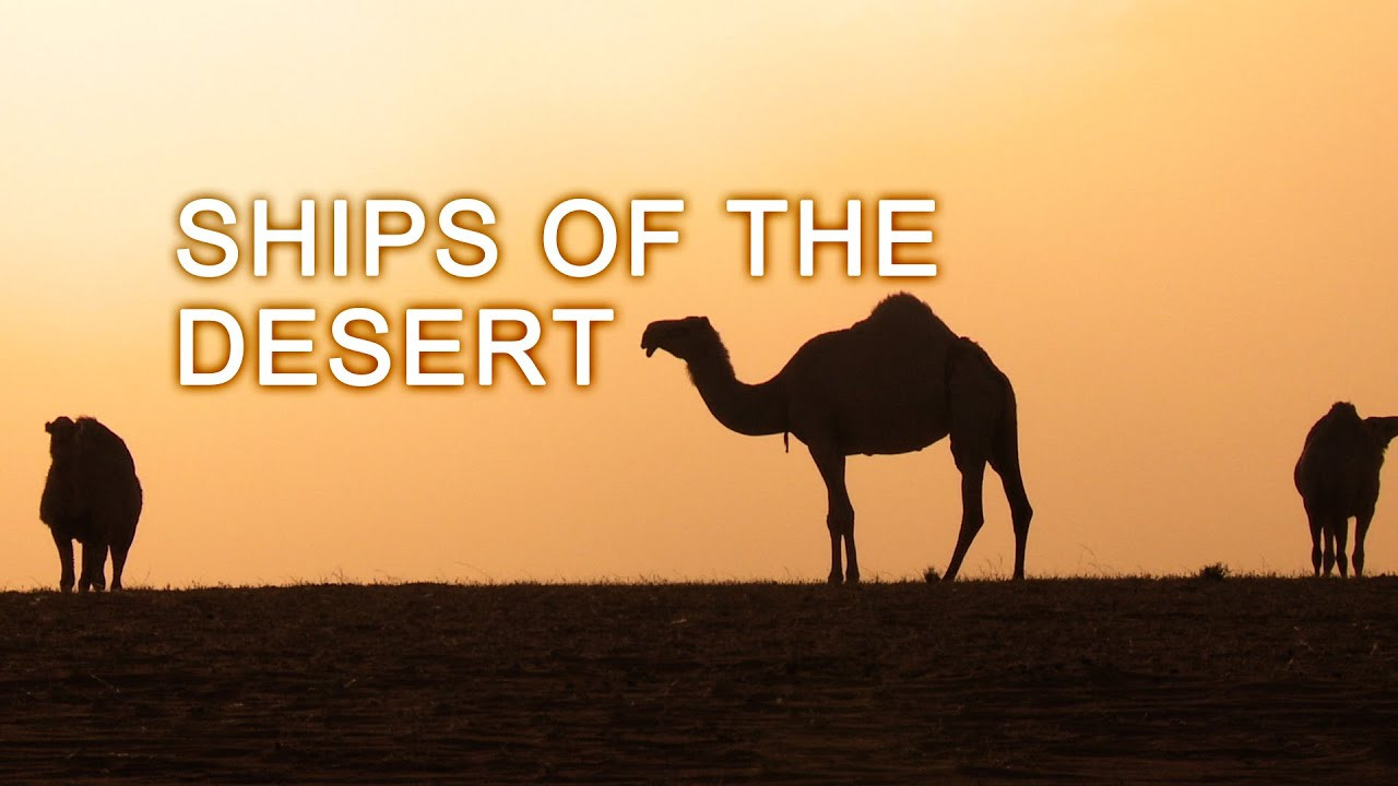 Ships Of The Dessert
 Ships The Desert