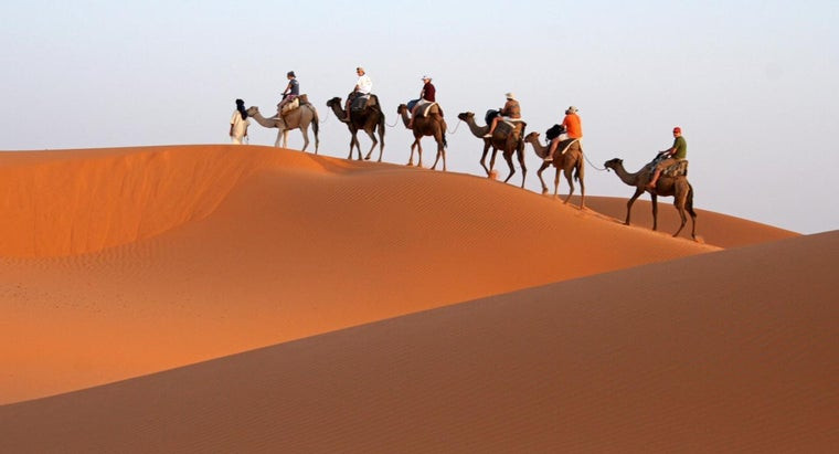 Ships Of The Dessert
 Why Are Camels Called Ships of the Desert