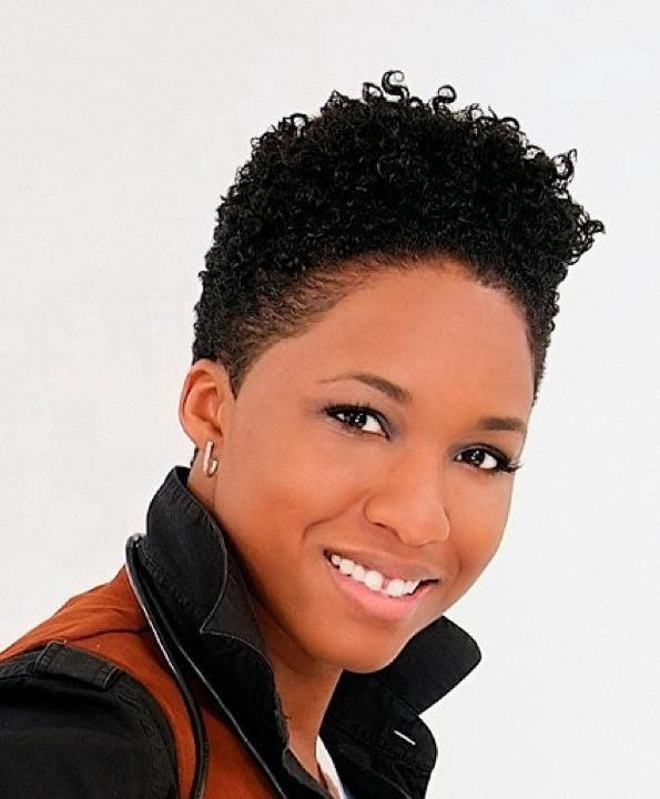 Short African American Natural Hairstyles
 Short Natural Hairstyles For Black Women The Xerxes
