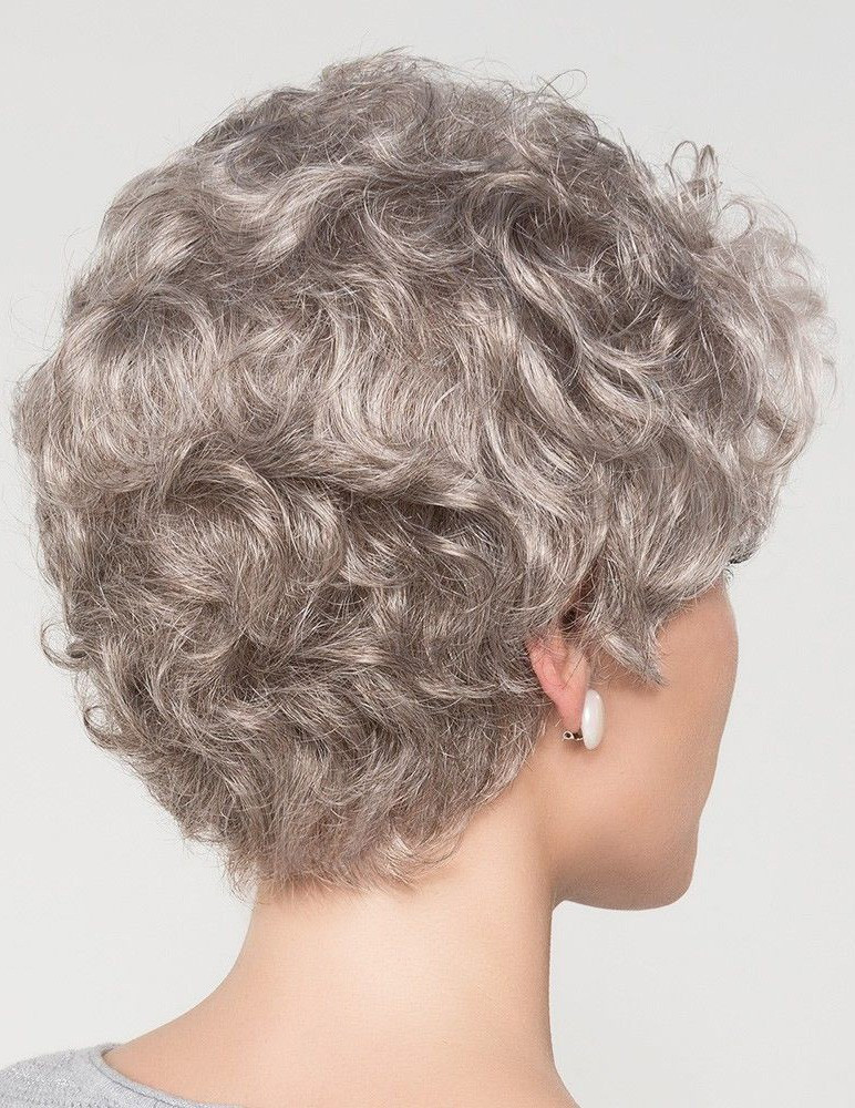 Short Curly Gray Hairstyles
 Natural Short Curly Grey Hair Wig For Older Women Rewigs