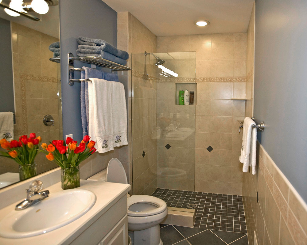 Shower Ideas For Small Bathroom
 Creating Amazing Small Bathrooms