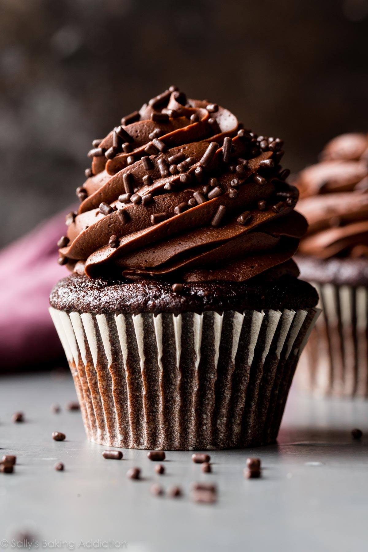 Simple Chocolate Cupcakes Recipes
 Super Moist Chocolate Cupcakes