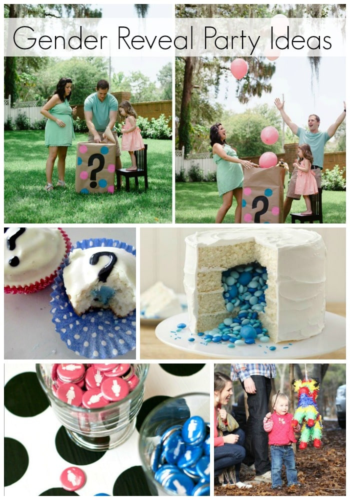 Simple Gender Reveal Party Ideas
 Gender Reveal Ideas Blue or Pink What Do You Think