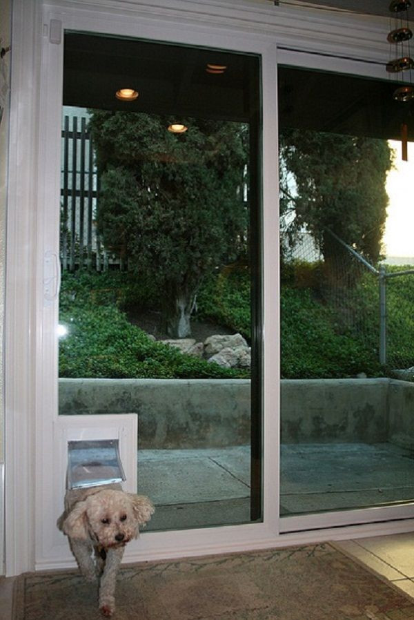 Sliding Door Dog Door DIY
 sliding glass dog door Door Designs Plans