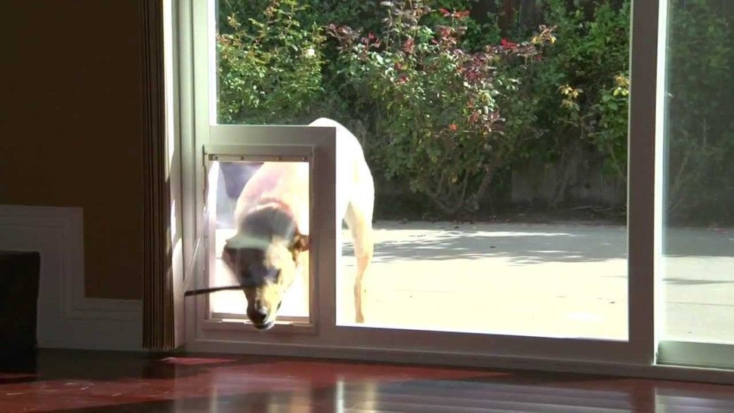 Sliding Door Dog Door DIY
 sliding glass door with built in dog door