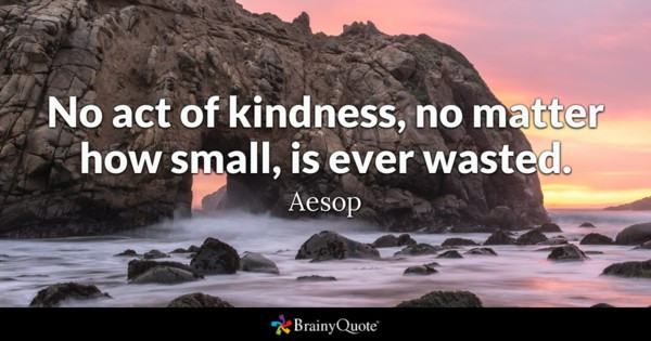 Small Acts Of Kindness Quotes
 Kindness Quotes BrainyQuote