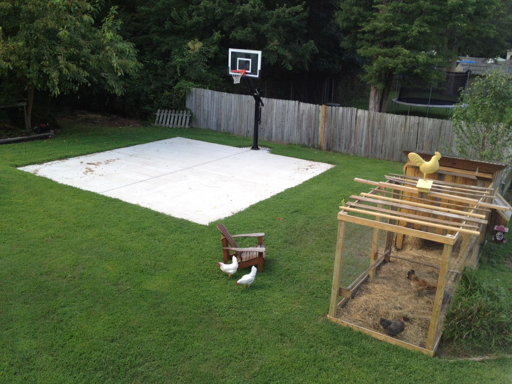 Small Backyard Basketball Court
 Backyard basketball on a concrete slab Well done