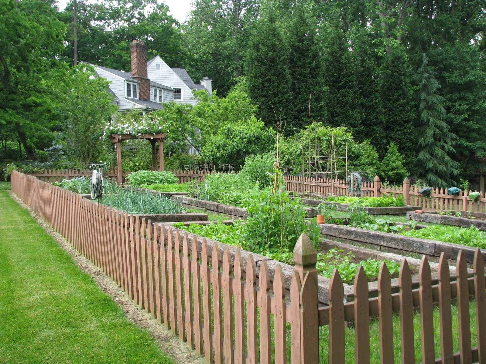 Small Backyard Fence
 Cheap Fence Ideas To Embellish Your Garden And Your Home