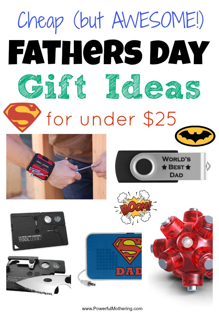 Small Father'S Day Gift Ideas
 Cheap Fathers Day Gift Ideas for under $25