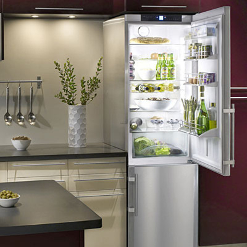 Small Kitchen Refrigerator
 Ideas For A Small Kitchen Liebherr Refrigerator design