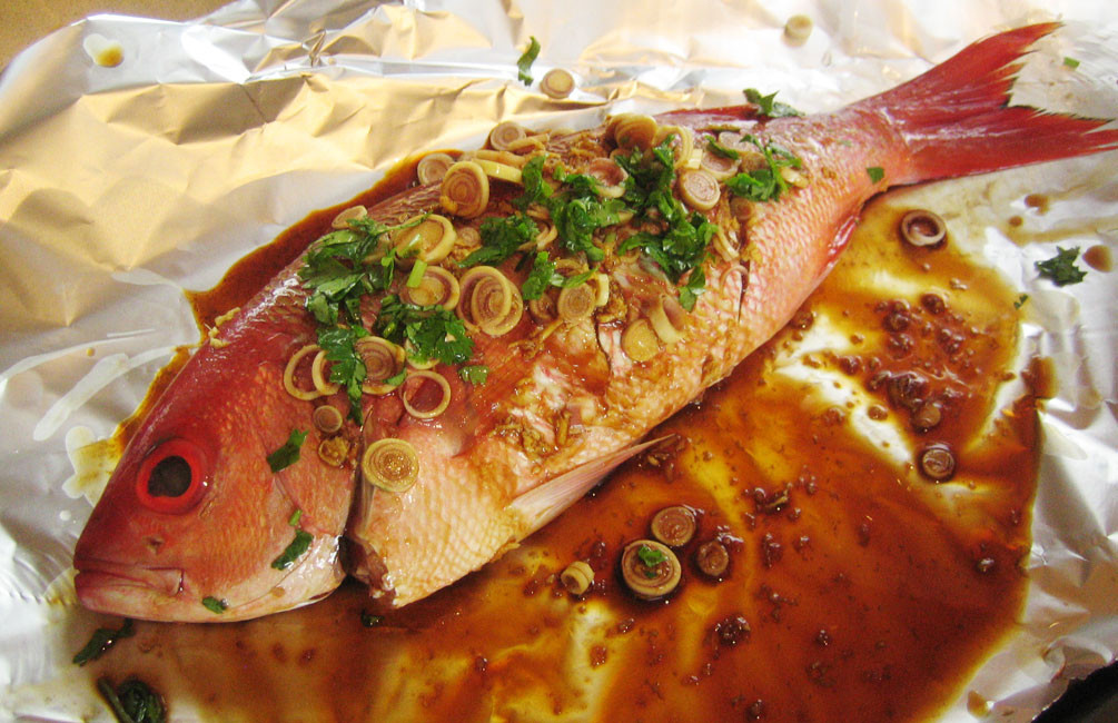 Snapper Fish Recipes
 red snapper on foil
