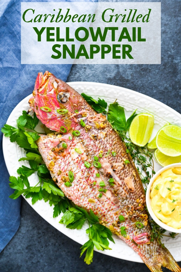 Snapper Fish Recipes
 Caribbean Grilled Yellowtail Snapper Recipe with Easy