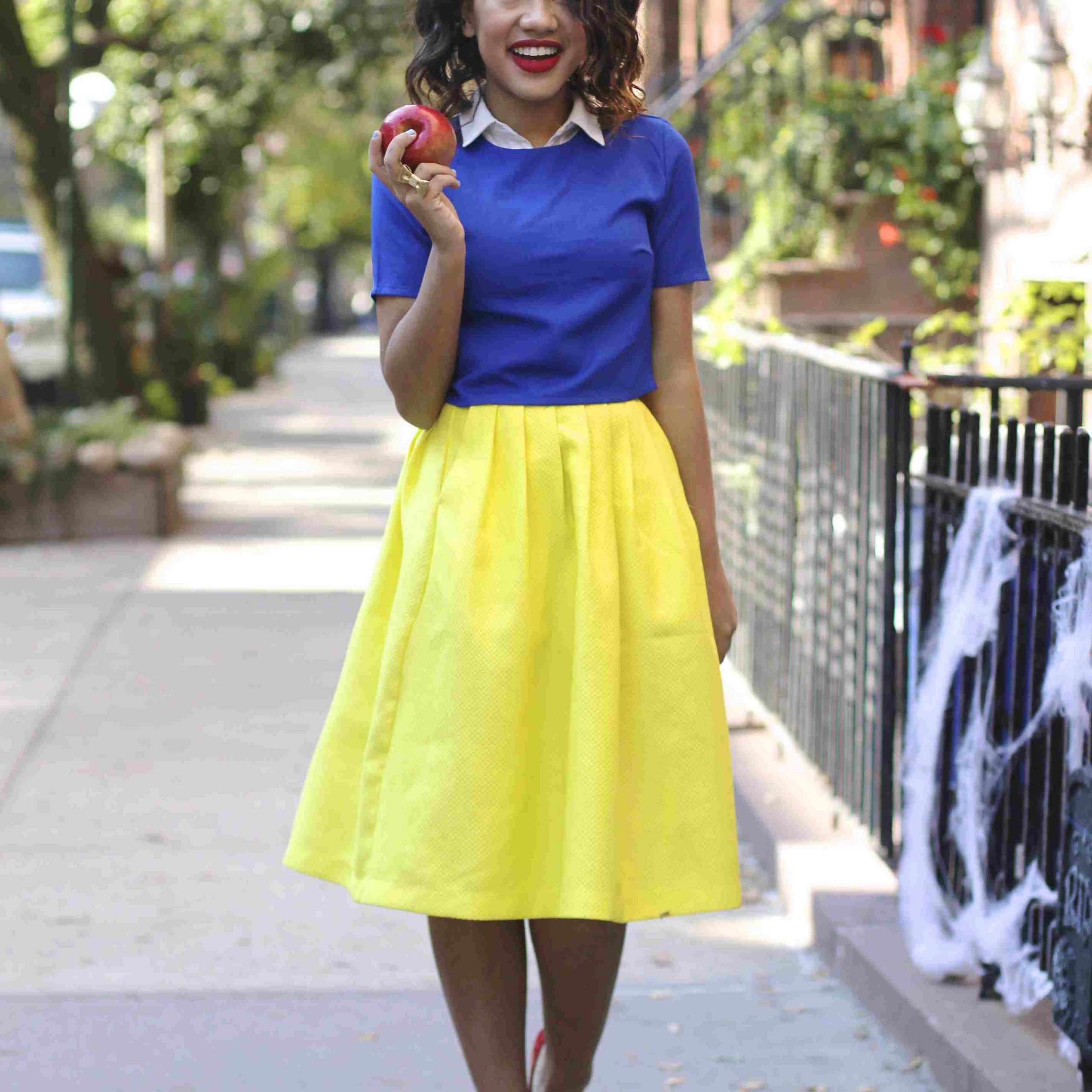 Snow White Costumes DIY
 50 Easy DIY Halloween Costume Ideas for Adults