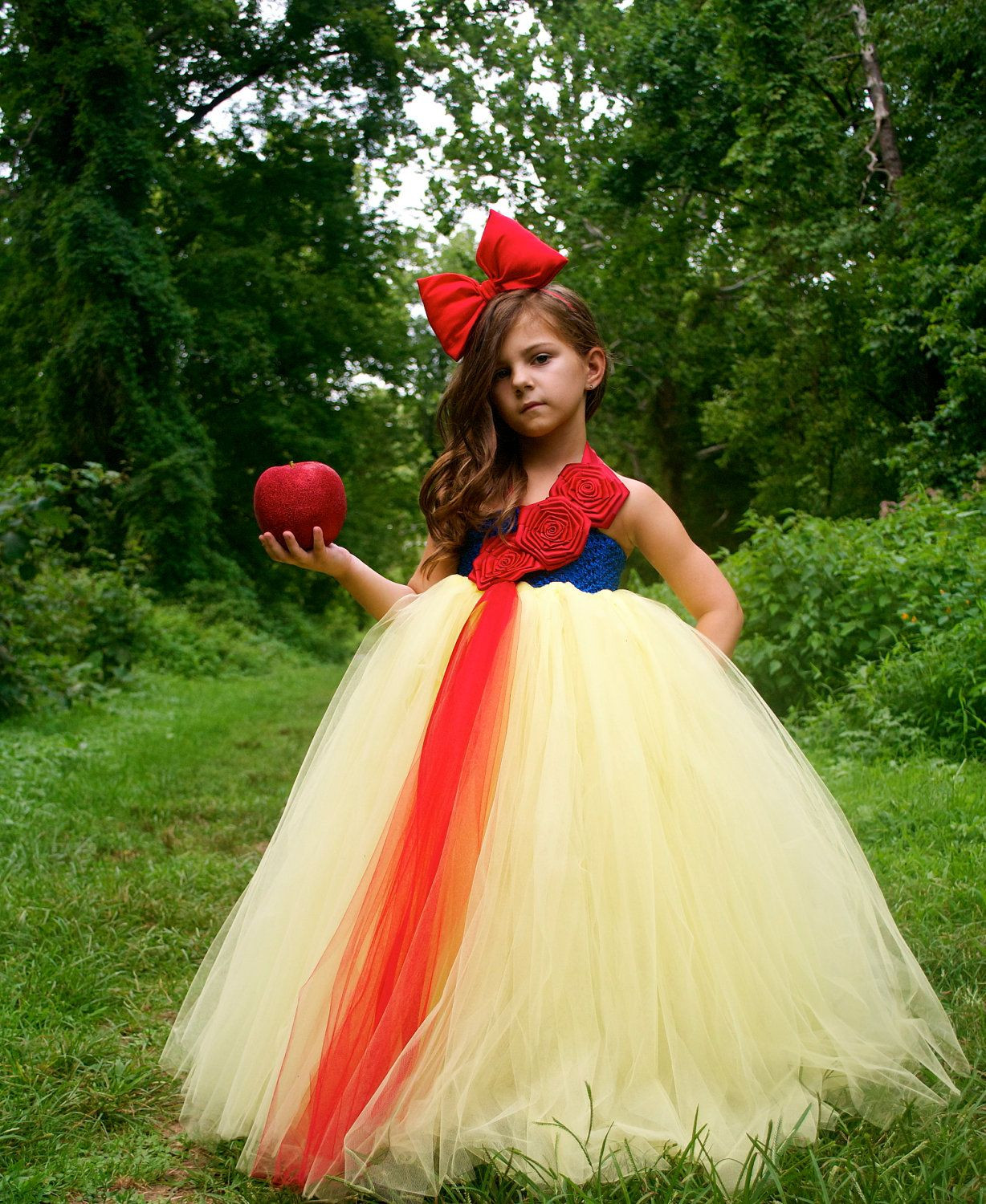 Snow White Costumes DIY
 The 25 best Snow white costume ideas on Pinterest