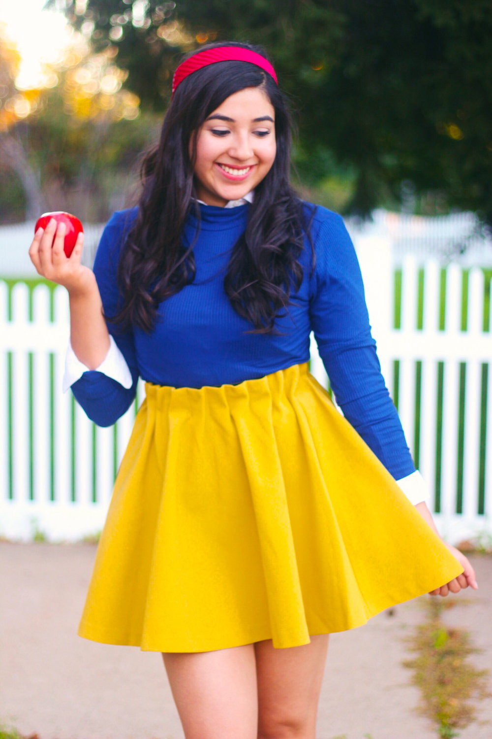 Snow White Costumes DIY
 5 DIY Disney Halloween Costumes