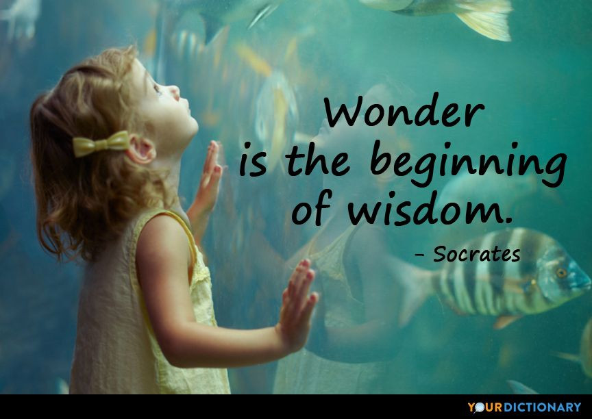 Socrates Children Quote
 Wonder is the beginning of wisdom