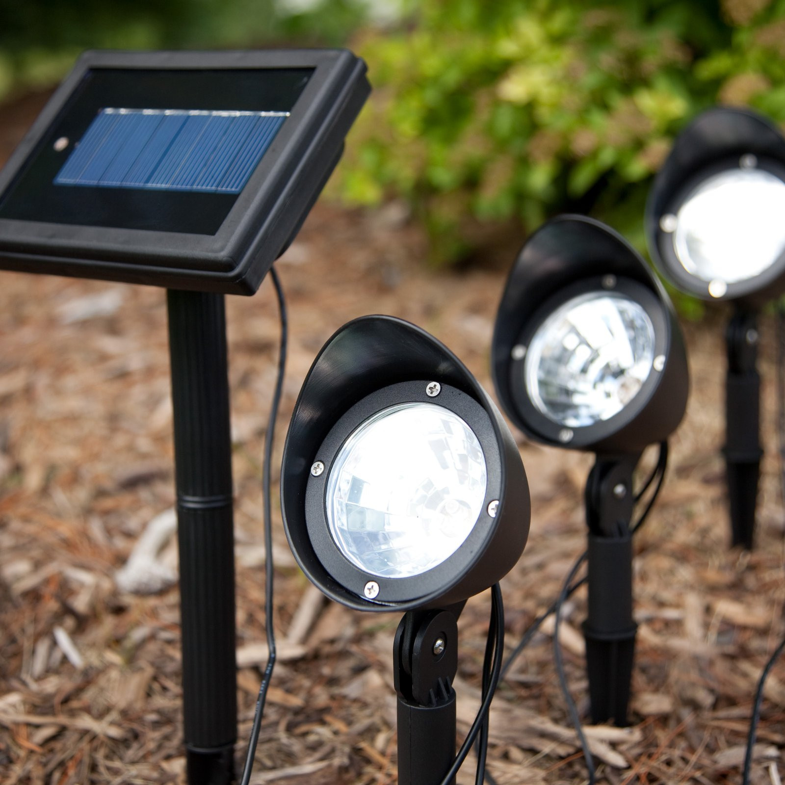 Solar Landscape Spot Light
 Highlighting certain features 18 Amazing Solar spot