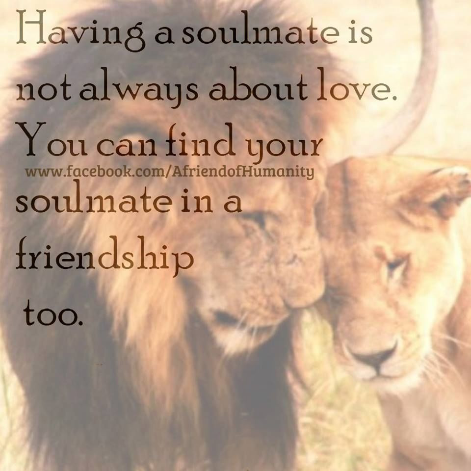 Soulmate Friendship Quotes
 You Can Find Your Soulmate In Friendship Too