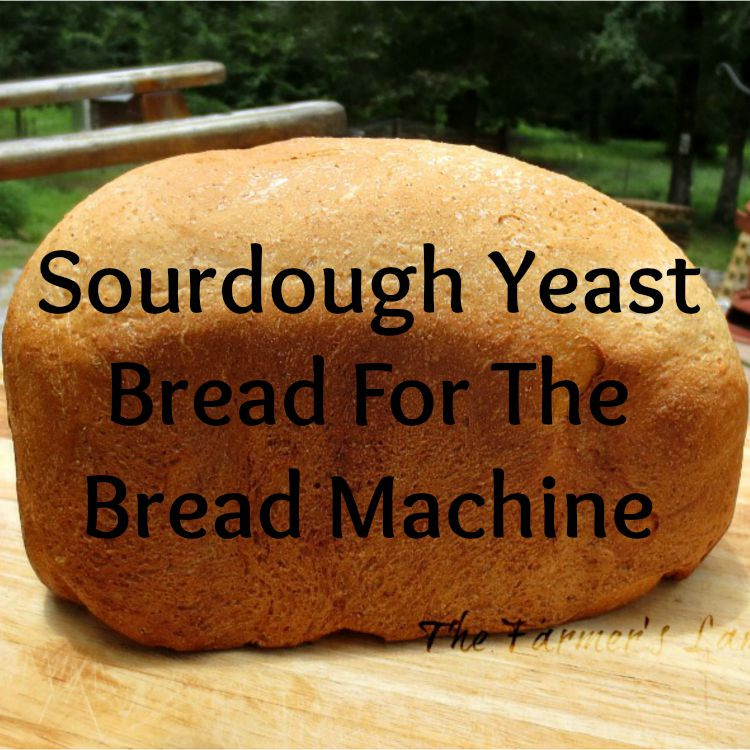 Sourdough Bread Machine
 Easy Sourdough Yeast Bread For The Bread Machine