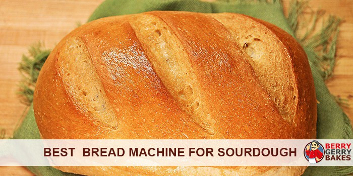 Sourdough Bread Machine
 Best Bread Machine for Sourdough 2019 [Top Rated Reviews]