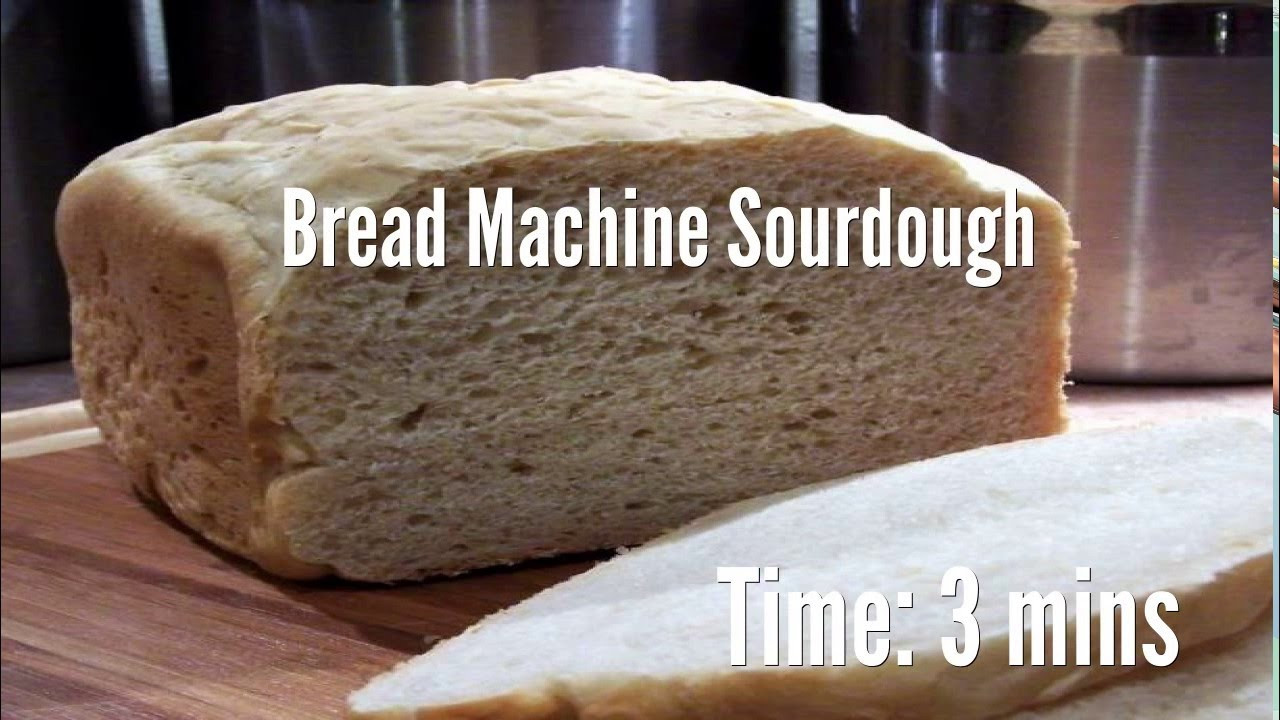 Sourdough Bread Machine
 Bread Machine Sourdough Recipe