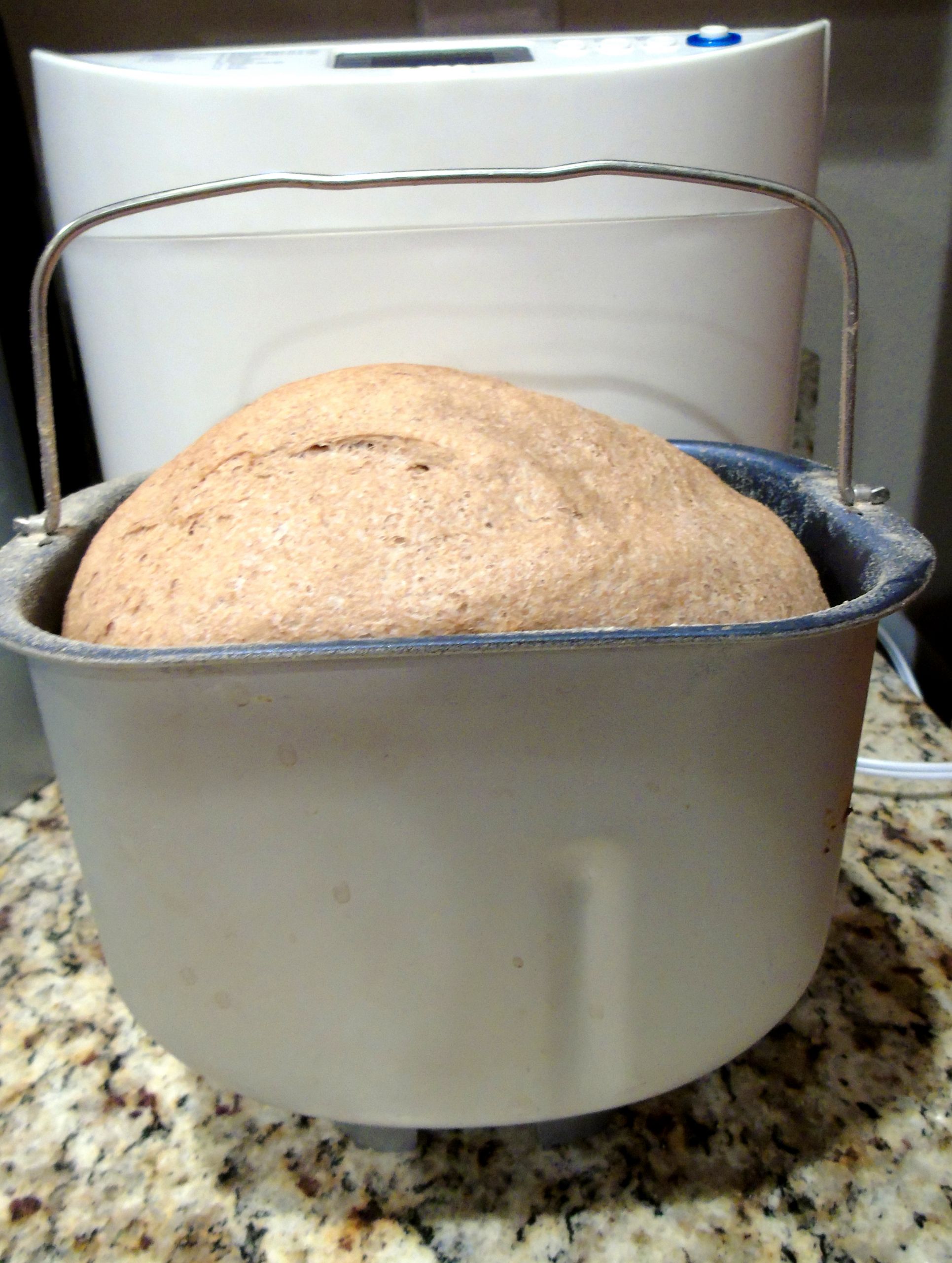 Sourdough Bread Machine
 Whole Wheat Sourdough Bread Machine Sandwich Bread