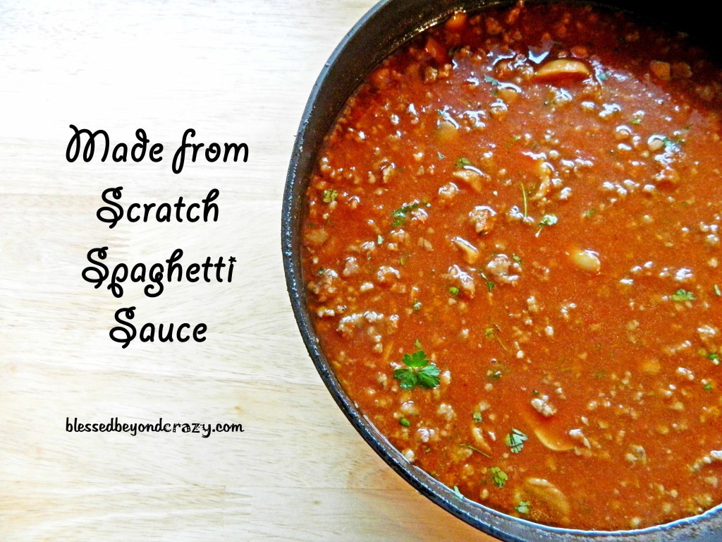 Spaghetti Sauce Recipe From Scratch
 Made From Scratch Spaghetti Sauce