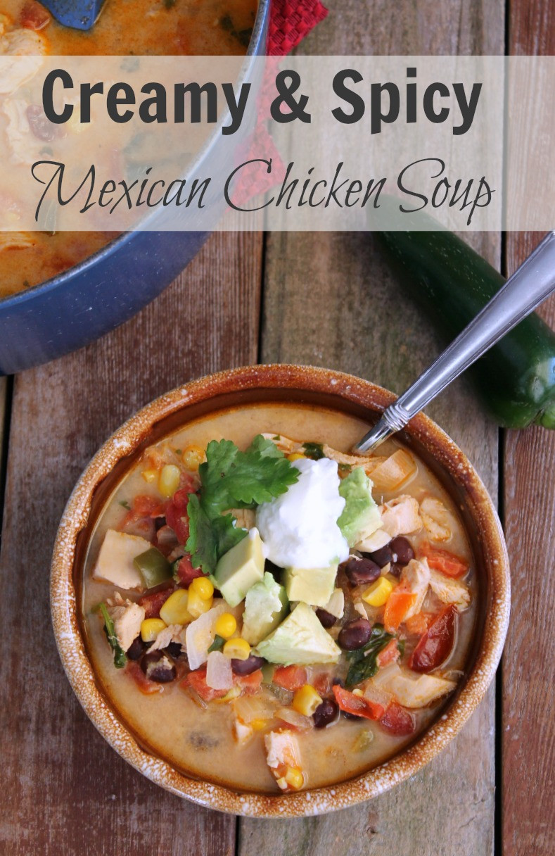 Spicy Mexican Chicken Soup
 Creamy and Spicy Mexican Chicken Soup