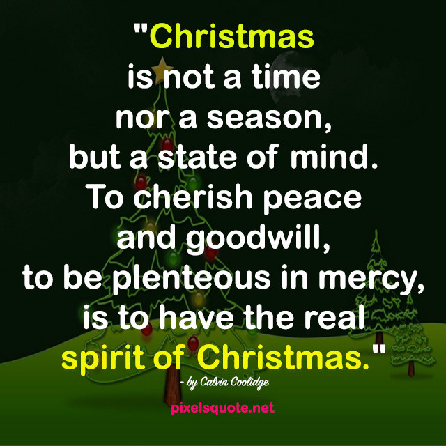 Spirit Of Christmas Quotes
 HEART WARMING CHRISTMAS QUOTES THAT SHOW THE TRUE