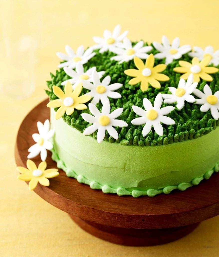 Spring Cake Recipes
 Absolutely Perfect Spring Daisy Cake • Best Cakes