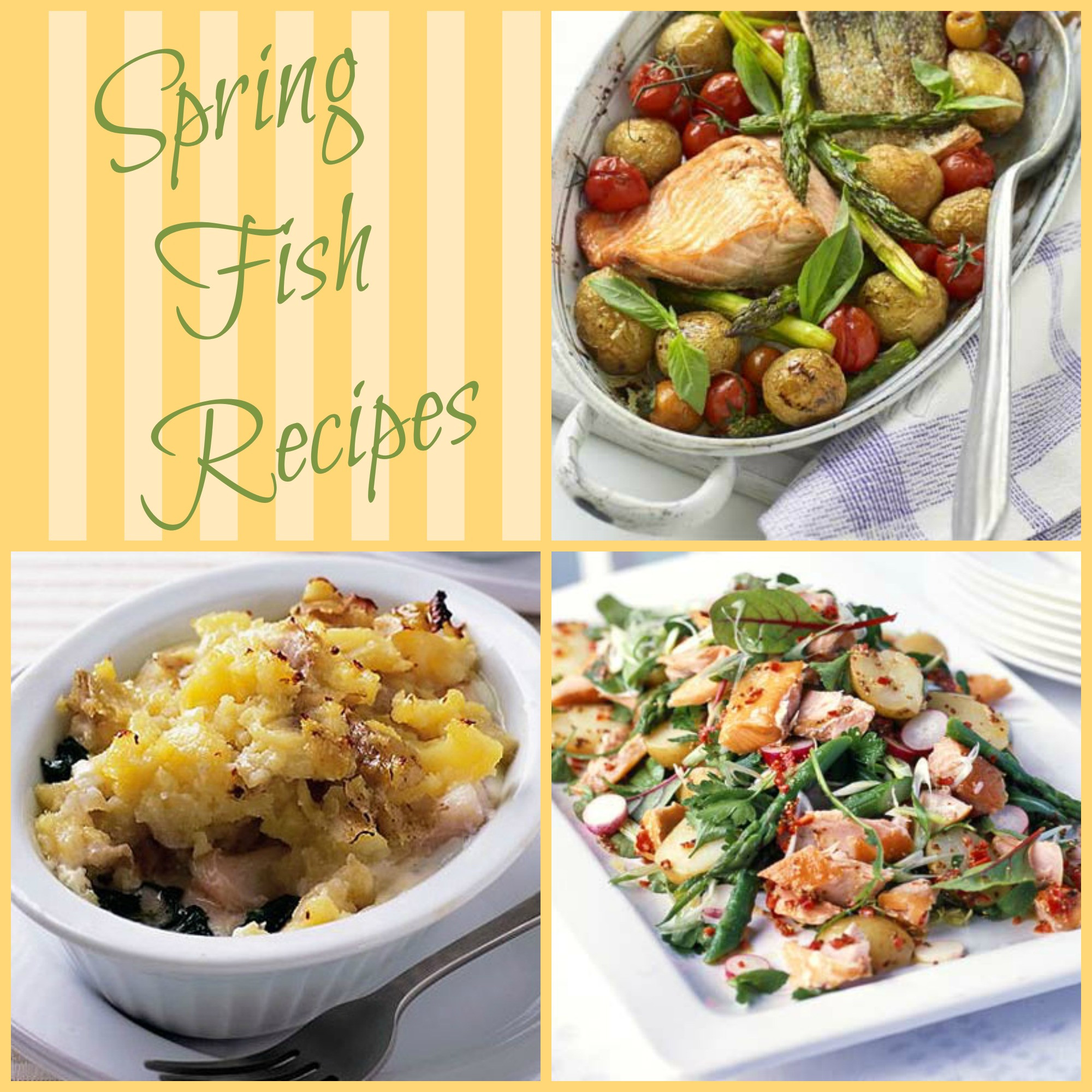 Spring Fish Recipes
 Spring Fish Recipes