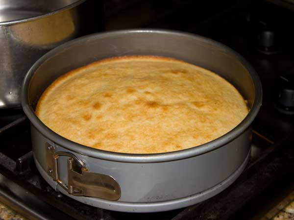 Springform Pan Cake Recipes
 Boston Cream Cheesecake Cookie Madness