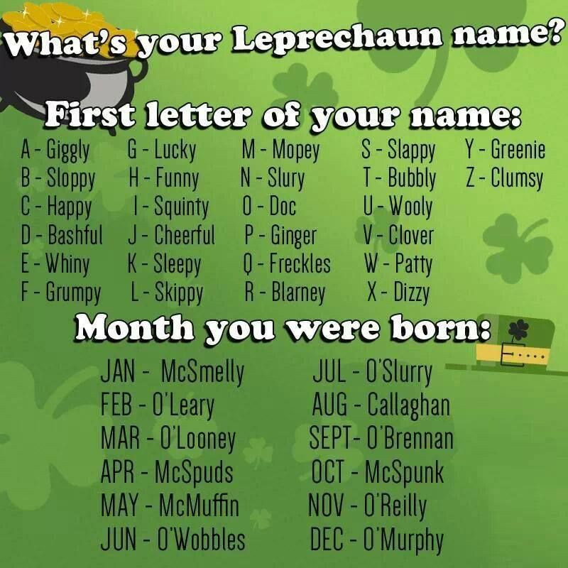 St Patrick Day Party Names
 What s your Leprechaun name meme