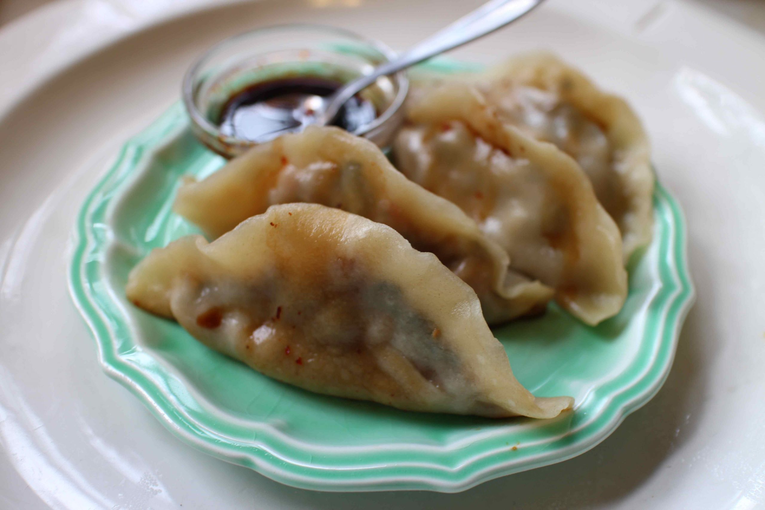 Steamed Chinese Dumplings
 Cook the Books Asian Dumplings – PROSPECT THE PANTRY