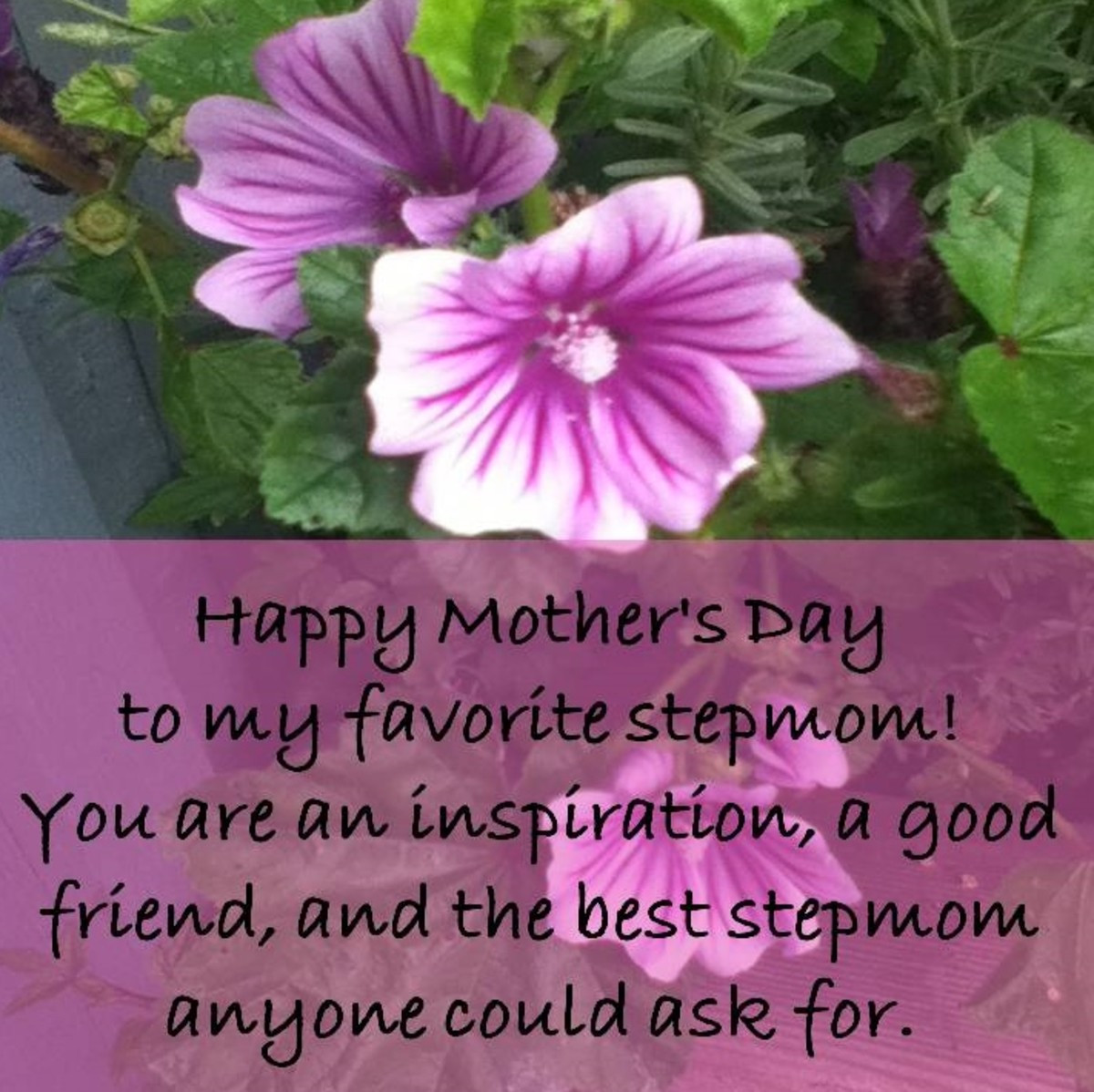 Step Mother Quotes
 Card Greetings and Gift Ideas for a Stepmom on Mother s