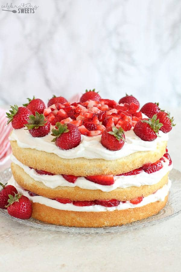 Strawberry Shortcake Birthday Cake Recipe
 Strawberry Shortcake Cake Celebrating Sweets