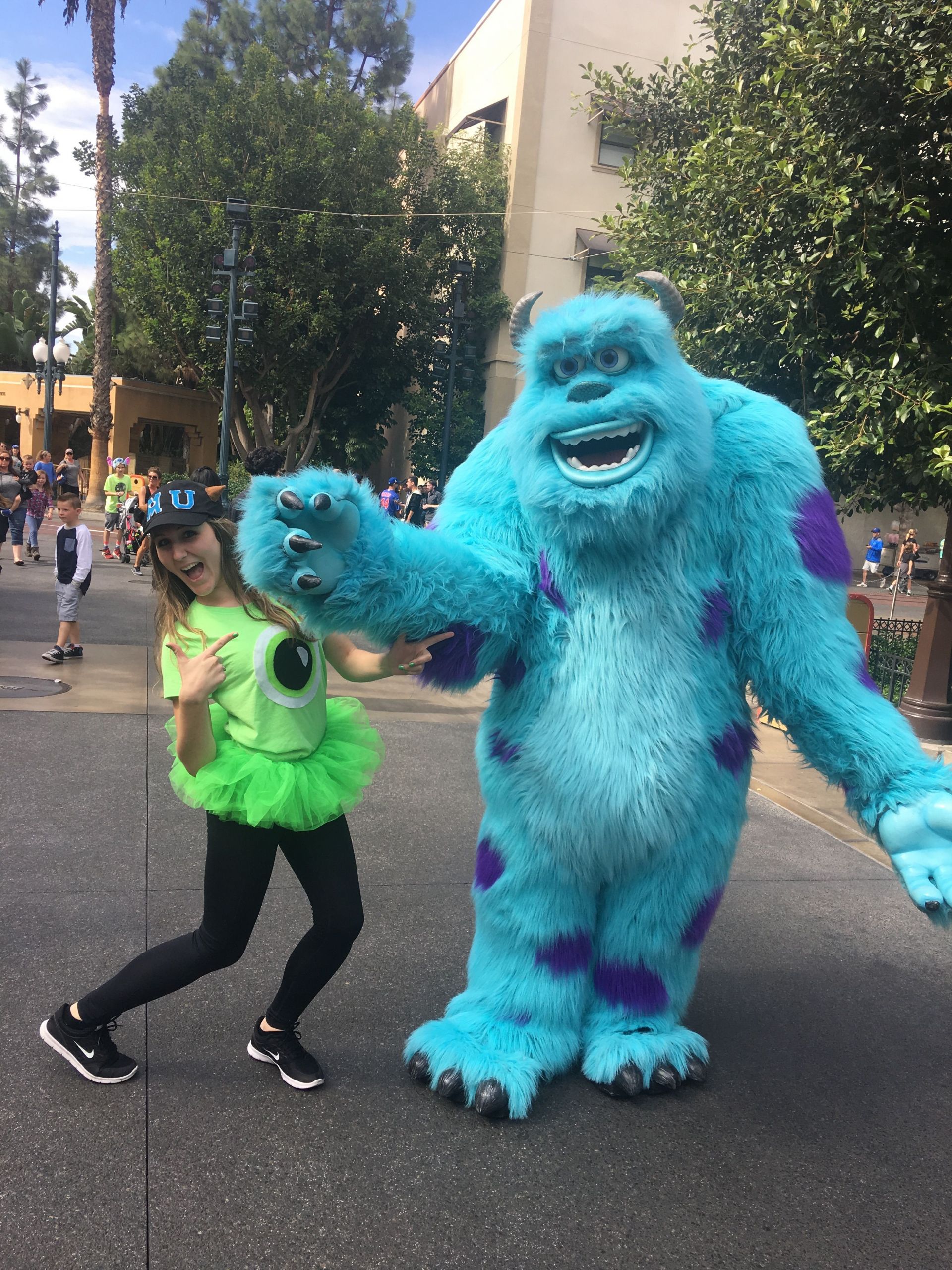 Sully Costume DIY
 Mike and Sully costumes DIY Disney costume