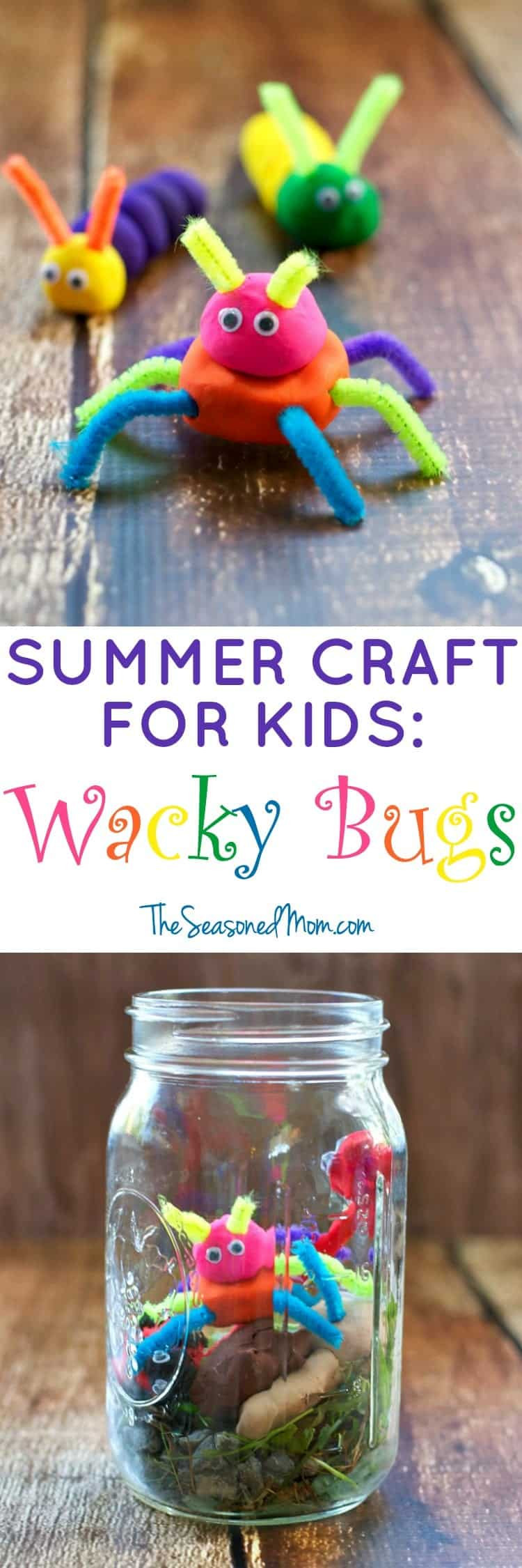 Summer Crafts Ideas For Kids
 Summer Craft for Kids Wacky Bugs The Seasoned Mom
