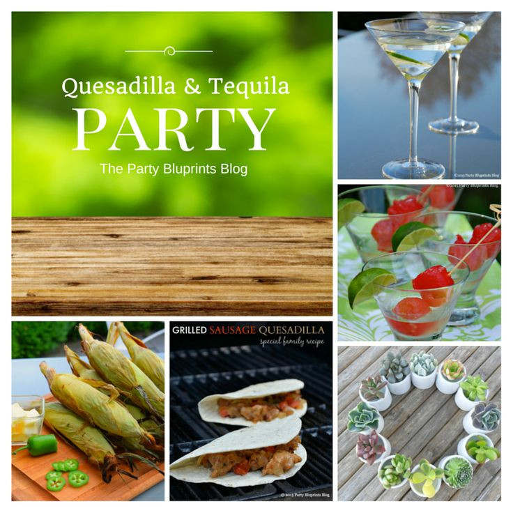 Summer Dinner Party Ideas Pinterest
 Easy Summer Quesadilla and Tequila Dinner Party