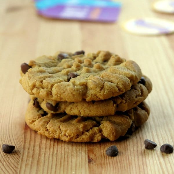 Sunflower Butter Cookies
 Sunflower Seed Butter Cookies with Chocolate Chips The