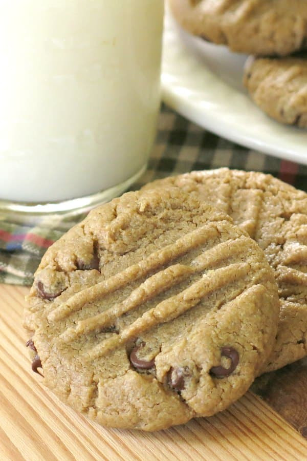 Sunflower Butter Cookies
 Sunflower Seed Butter Cookies with Chocolate Chips The