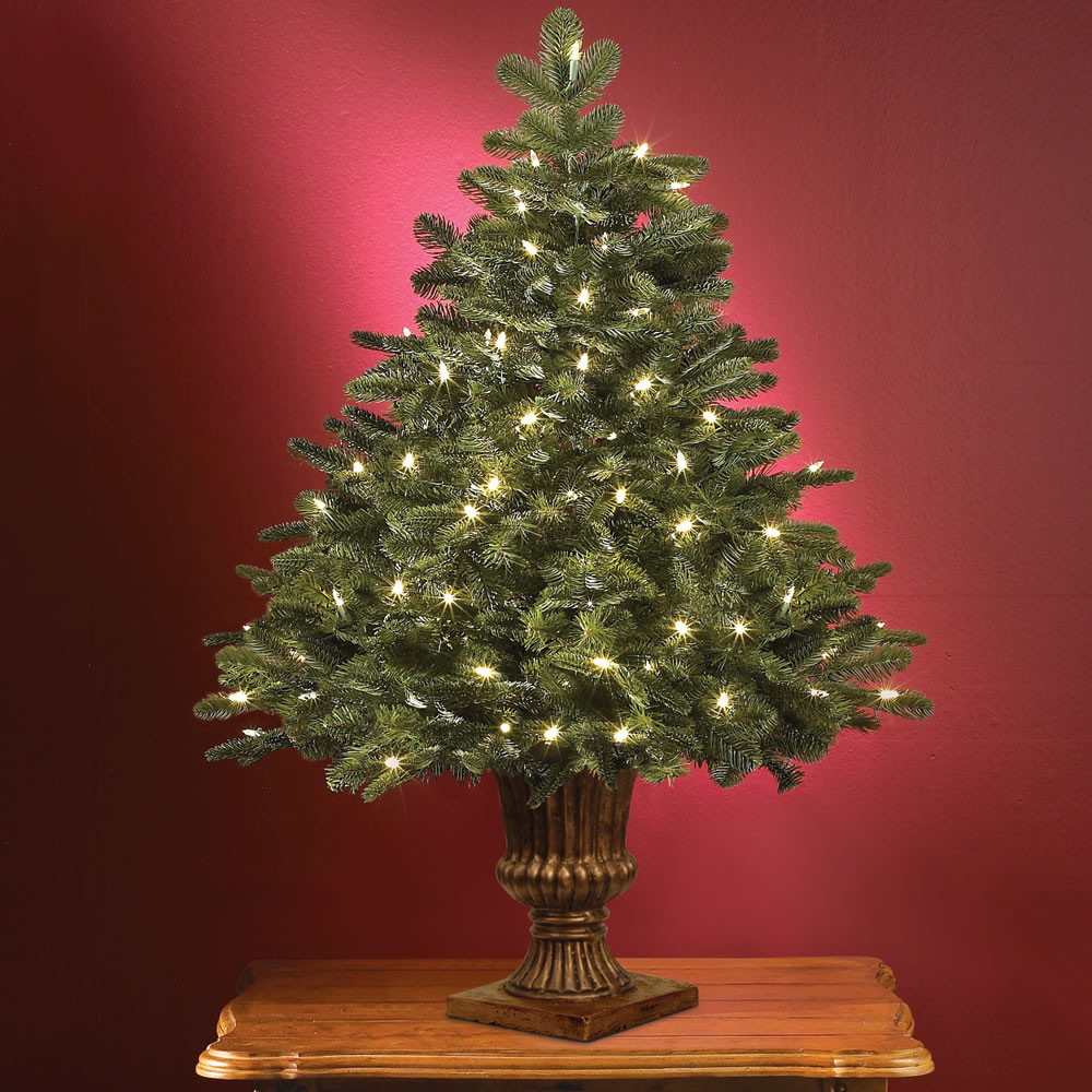 Table Top Christmas Trees
 The World s Best Tabletop Prelit Noble Fir Hammacher