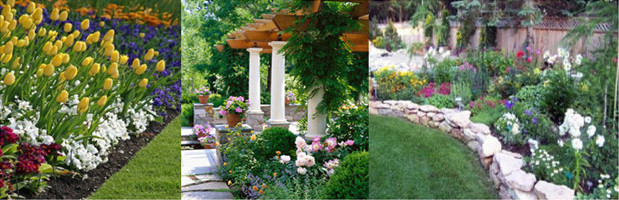 Tampa Landscape Design
 Tampa Landscape Design