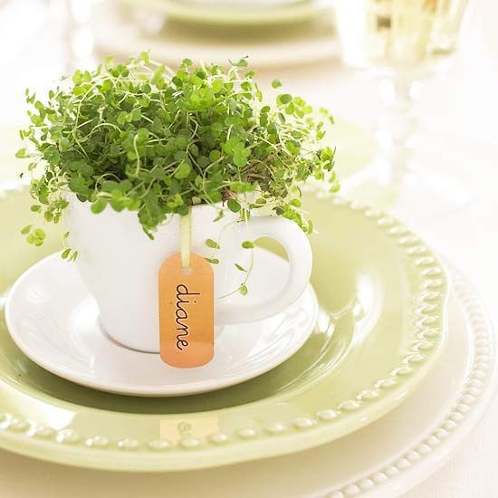 Tea Party Favor Ideas For Adults
 Party Favors for Adults