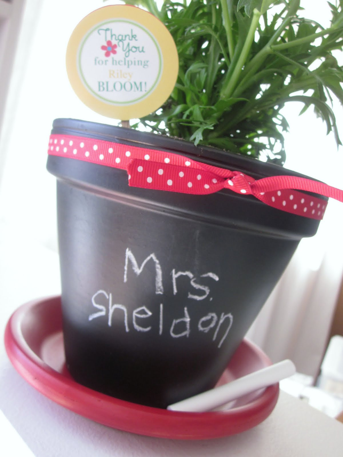 Teacher Graduation Gift Ideas
 Embellishing Life A Preschool Graduation and a Teacher Gift