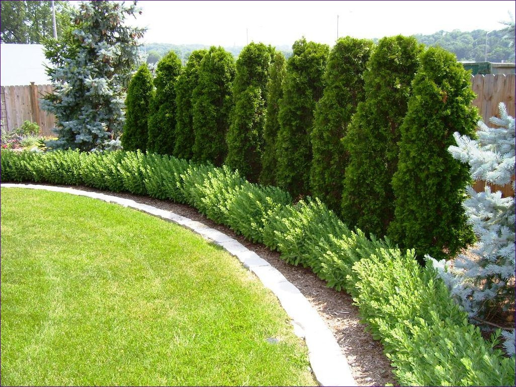 Terrace Board Landscape Edging
 Ideas Create Solid Boundaries In Your Lawn And Garden