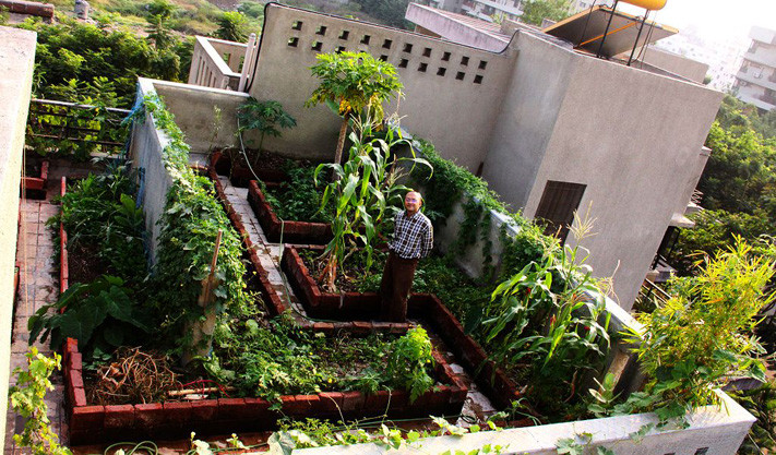 Terrace Landscape India
 India Green Roofing is the New Trend for Bangalorites