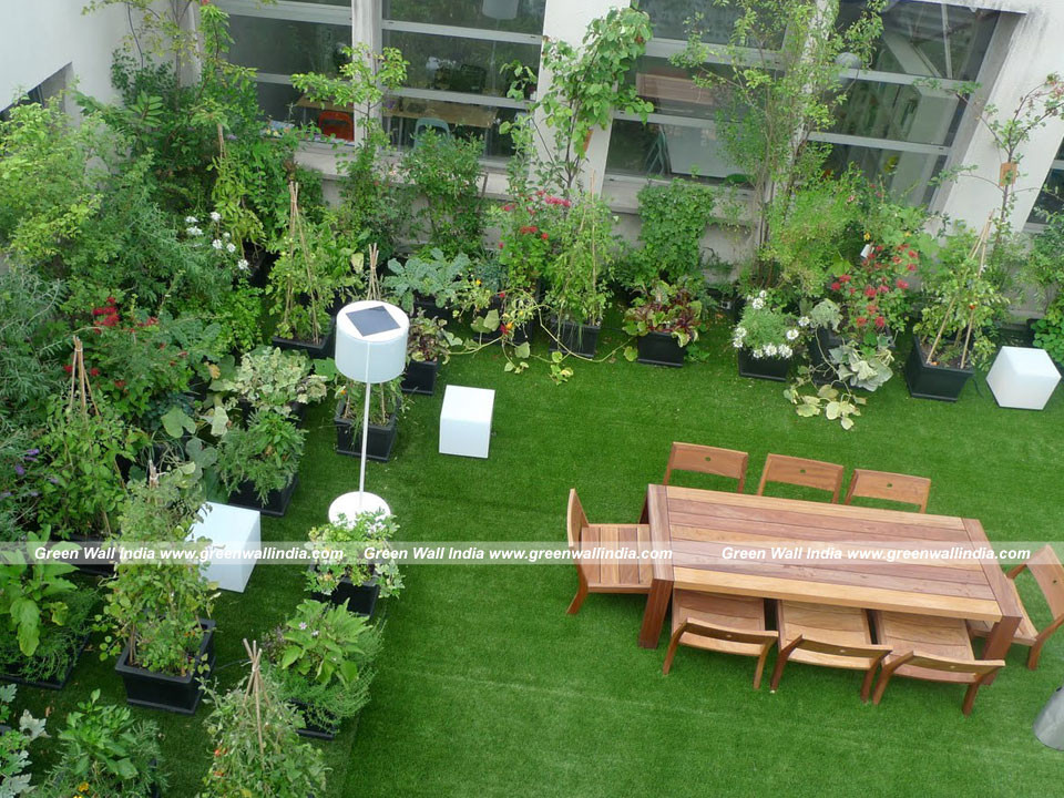 Terrace Landscape India
 Best Live Plants Nursery For Terrace Garden North India